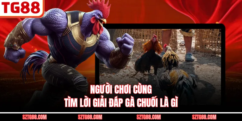 Người chơi cùng tìm lời giải đáp gà chuối là gì